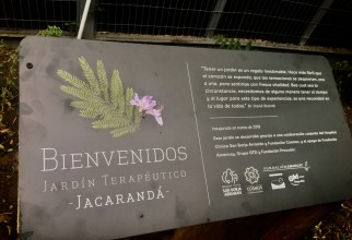 JARDÍN TERAPÉUTICO JACARANDÁ